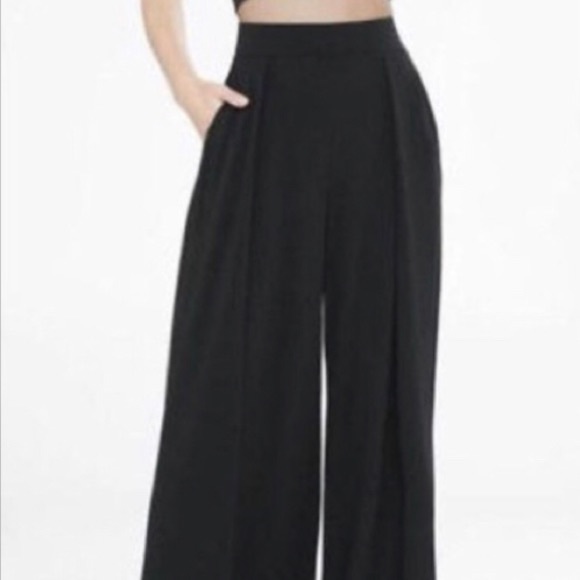 Express Pants - NWT Express Wide-Leg, High-Waist Pants